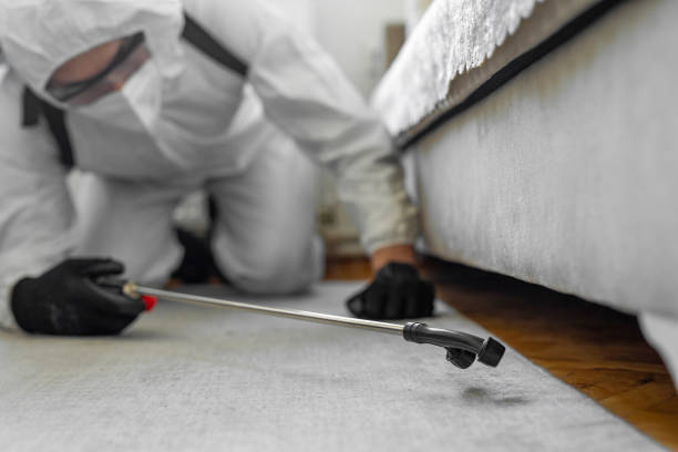 Professional Ant Control technician working in Konawa, OK