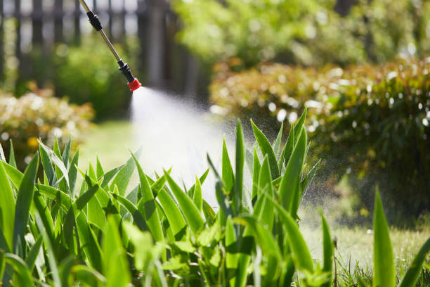 24/7 Emergency Ant Control experts in Konawa, OK