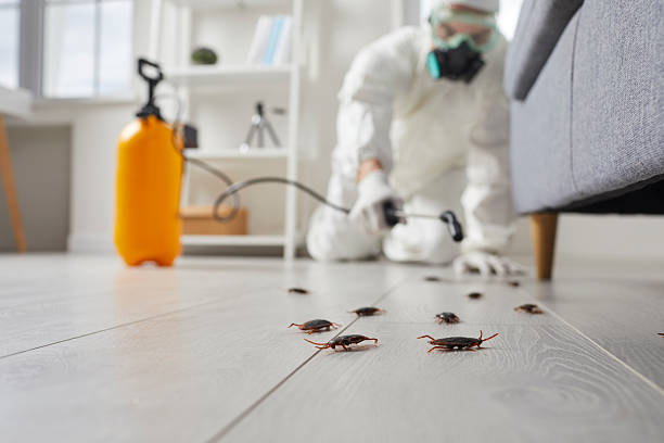Trusted Cockroach Control service in Konawa, OK - Nex Pest Control