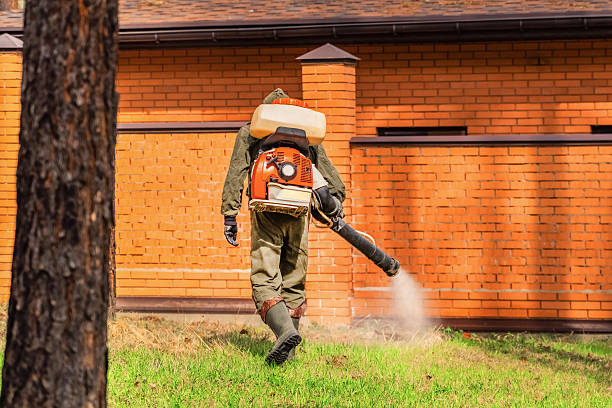 Trusted Bed Bug Control service in Konawa, OK - Nex Pest Control